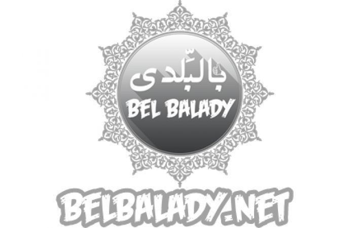 fd7c6eb9b6.jpg