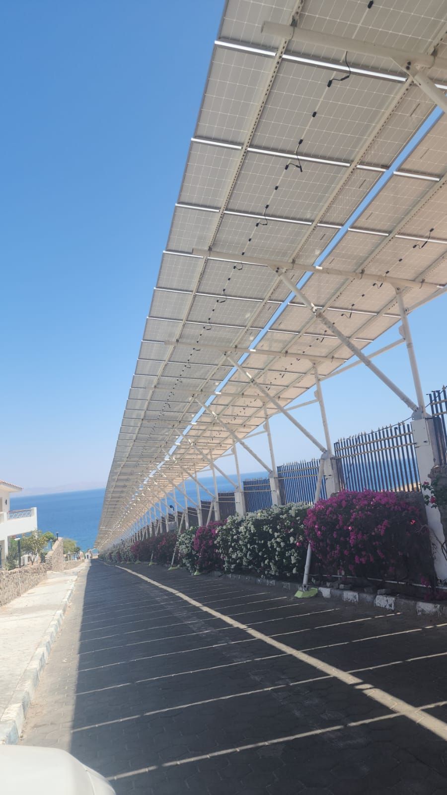 شركة أوبتميزايشن للخدمات الهندسية والتوريدات (1)