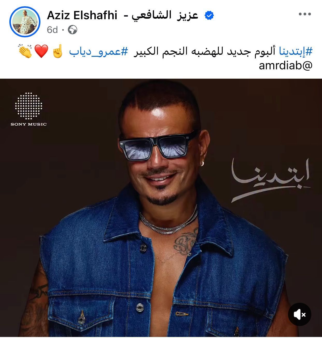 عزيز شافعى عزيز شافعى