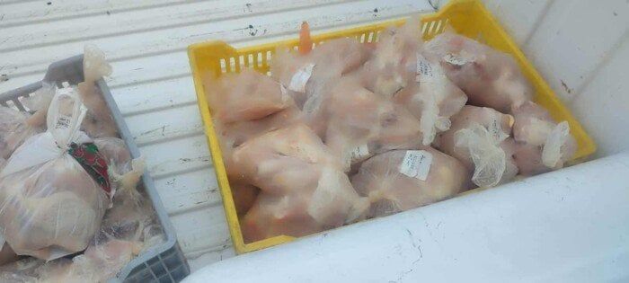 ضبط 40 كيلو دجاج منتهية الصلاحية بمطعم شهير في بورسعيد