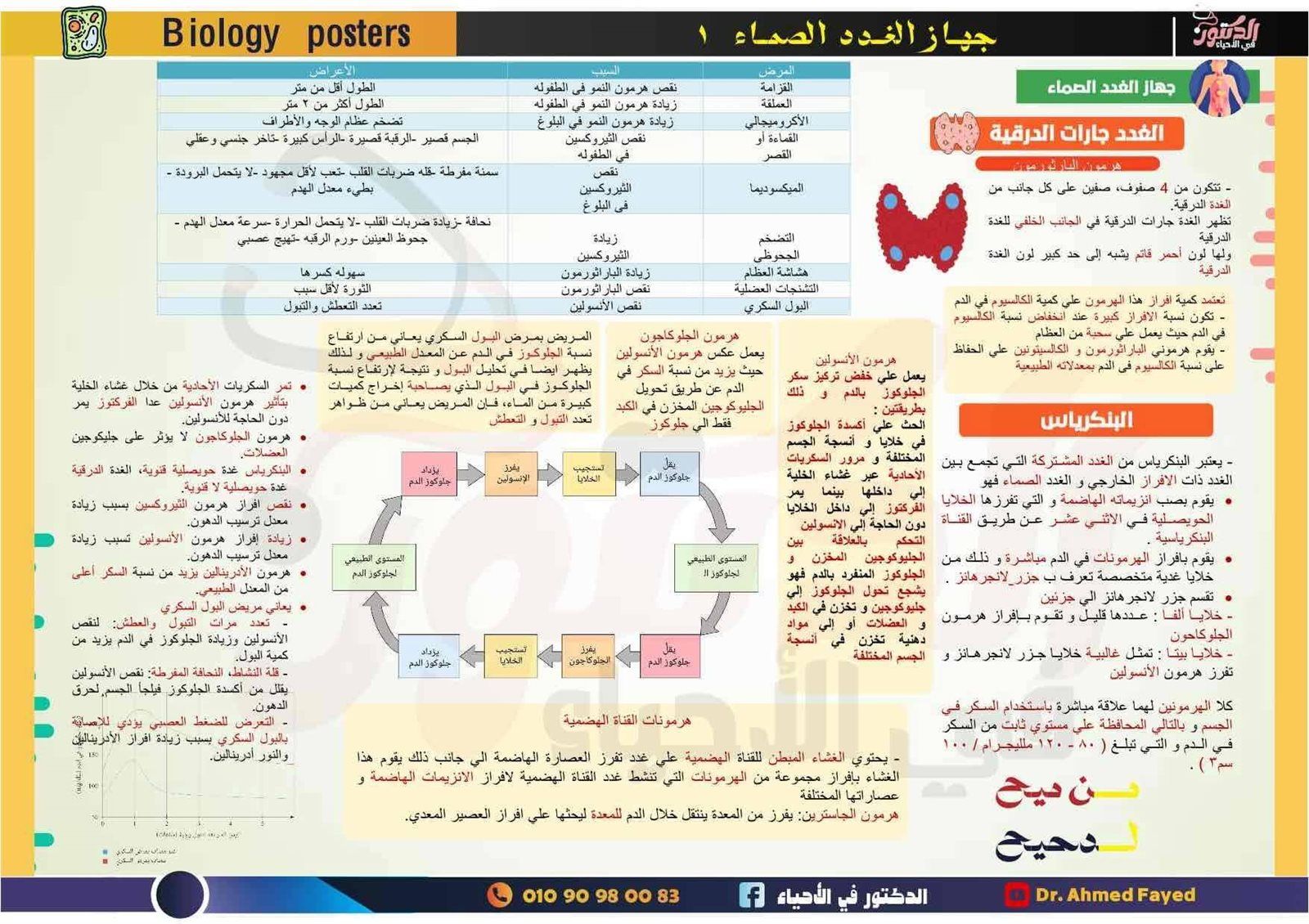 8eddd36613.jpg