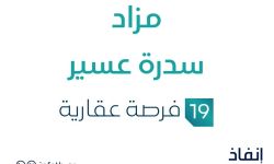 مزاد سدرة عسير