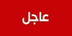 الأمم المتحدة تجري مشاورات مع الجيش السوداني والدعم السريع للتوصل إلى هدنة إنسانية في الفاشر - بوابة فكرة وي
