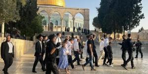 صهاينة اقتحموا باحات المسجد الاقصى - بوابة فكرة وي