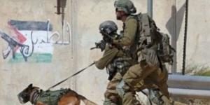 جيش الاحتلال: فصلنا حماس عن مناطق كثيرة فى غزة ونمنعها من استعادة قوتها - بوابة فكرة وي