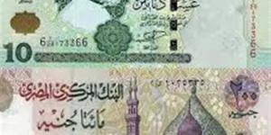 أسعار الدينار الليبي مقابل الجنيه المصري اليوم الجمعة 4 يوليو 2025 - بوابة فكرة وي