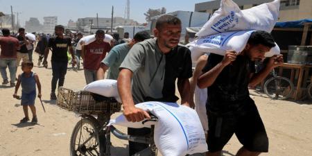 "الأغذية العالمي": فرص مواجهة المجاعة في غزة تتلاشى بسرعة - بوابة فكرة وي