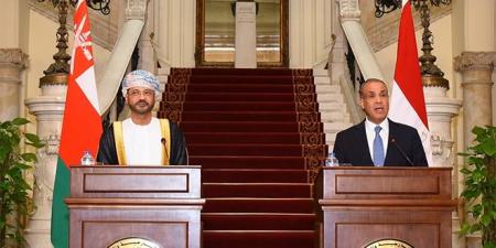 وزيرا خارجية مصر وعُمان يؤكدان دعمهما وحدة سوريا واستقرارها - بوابة فكرة وي
