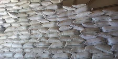 فلاحة : متابعة المراقبة والتصديق على حصص بذور الحبوب الممتازة بعدد من الشركات المنتجة للبذور - بوابة فكرة وي