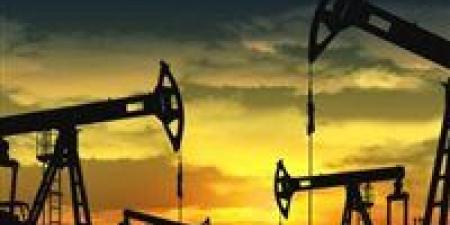 تراجع النفط إلى 66.44 دولارًا وسط خطط أوبك+ لزيادة الإنتاج بـ411 ألف برميل - بوابة فكرة وي
