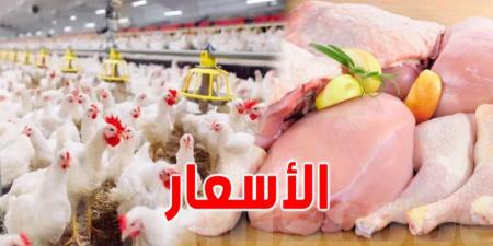رئيس الغرفة الوطنية للدواجن: ''الإنتاج وفير والأسعار معقولة'' - بوابة فكرة وي