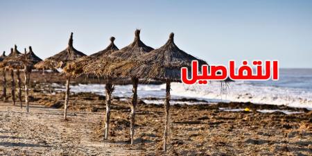 الشواطئ الرملية في تونس: لماذا التيارات الساحبة أكثر نشاطًا هناك؟ - بوابة فكرة وي
