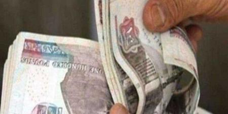 متى يطبق قرار ترقية الموظفين بالدولة؟.. ونسبة الزيادة في المرتبات - بوابة فكرة وي