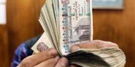شروط الحصول على معاش تكافل وكرامة.. والأوراق المطلوبة - بوابة فكرة وي