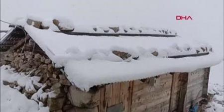 تركيا | بالتزامن مع موجات حر وحرائق في غرب البلاد.. تساقط كثيف ونادر للثلوج في الشمال الشرقي - بوابة فكرة وي