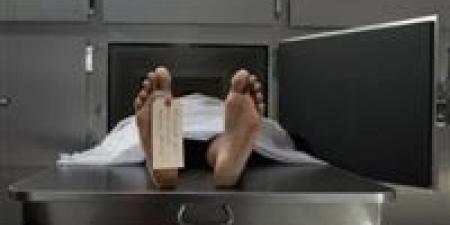 حداد ينهي حياة مواطن لسرقة سيارته في العاشر من رمضان - بوابة فكرة وي