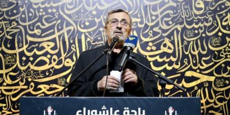 عز الدين: سلاح المقاومة حق مشروع ووسيلة دفاع لا غنى عنها في وجه عدو غادر - بوابة فكرة وي