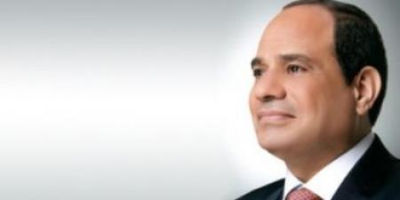 الرئيس السيسى: ناقشت مع رئيس الصومال الأوضاع الأمنية والسياسية فى القرن الأفريقى - بوابة فكرة وي