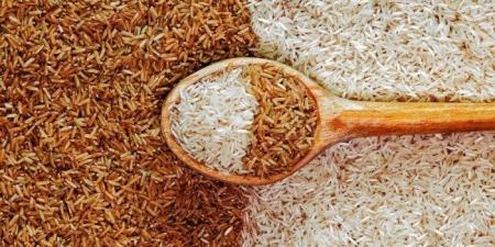الطن بكام؟.. سعر الأرز الشعير اليوم الثلاثاء 8 يوليو 2025 - بوابة فكرة وي