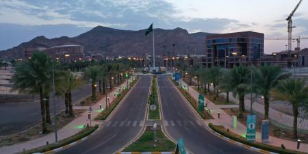 جامعة طيبة تعلن فتح القبول في برنامج تجسير البكالوريوس في الصيدلة - بوابة فكرة وي