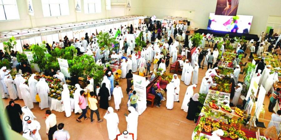 20 ألف زائر لمهرجان خورفكان للمانجو - بوابة فكرة وي