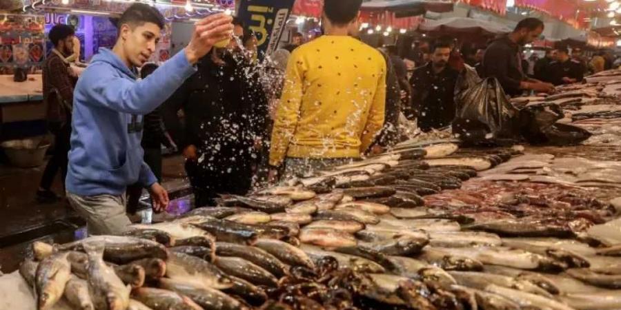 أسعار الأسماك في مصر اليوم 1-7-2025 ترتفع.. البوري والجمبري يواصلان الصعود - بوابة فكرة وي