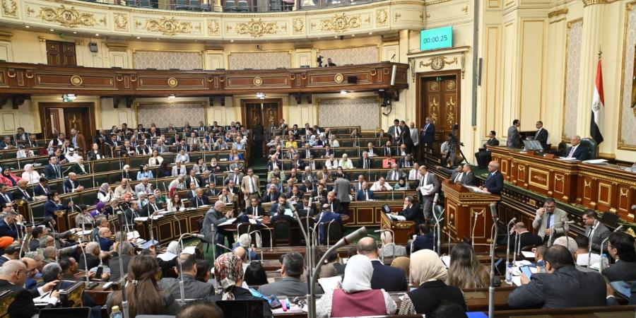 رئيس النواب: بيانات الحكومة عن الإيجار القديم خلت من أرقام المستأجر الأصلى والجيل الأول - بوابة فكرة وي