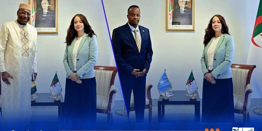 منصوري تستقبل سفيري الصومال وغينيا - بوابة فكرة وي