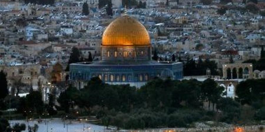 وزيرة خارجية النمسا: ندعم حق الفلسطينيين في تقرير المصير - بوابة فكرة وي