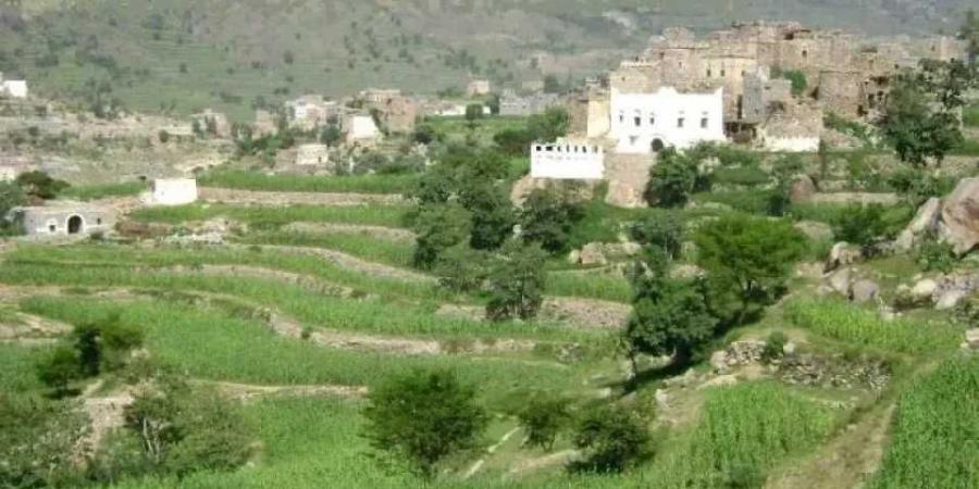 أعلنت حصيلة قتلاها.. الرواية الحوثية بشأن جريمة المليشيات ضد الشيخ ‘‘صالح حنتوس’’ في ريمة - بوابة فكرة وي