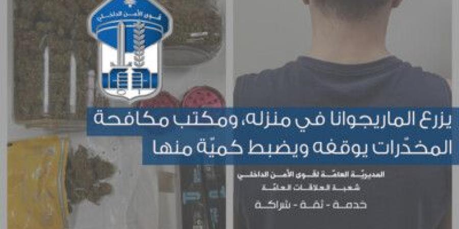 مكتب مكافحة المخدّرات يوقف شخصا يزرع الماريجوانا في منزله ويضبط كميّة منها - بوابة فكرة وي