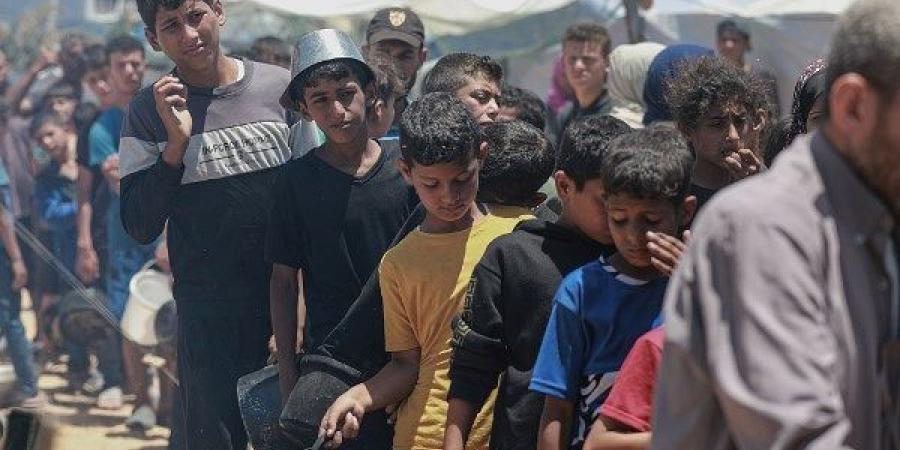 رئيس مؤسسة غزة ينفي سقوط شهداء في مراكز توزيع الغذاء - بوابة فكرة وي