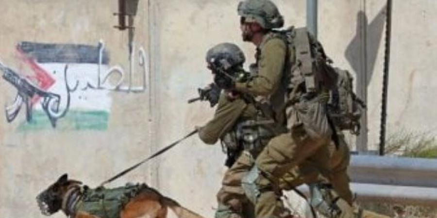 جيش الاحتلال: فصلنا حماس عن مناطق كثيرة فى غزة ونمنعها من استعادة قوتها - بوابة فكرة وي