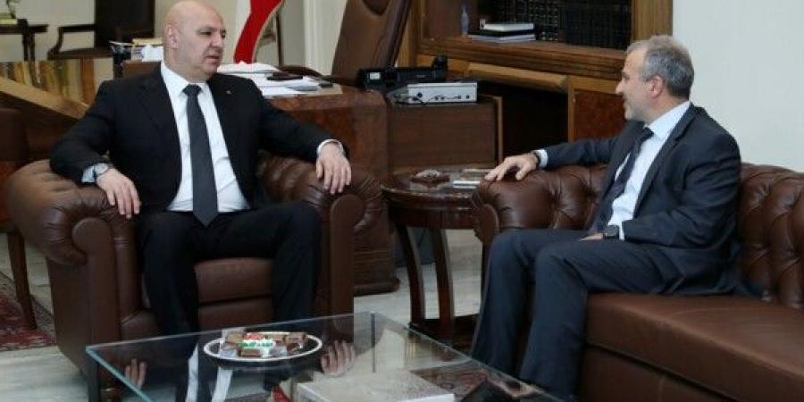 باسيل من قصر بعبدا: السلاح يجب أن يكون بيد الدولة ليحمي الجميع و"حزب الله" جزء من هذه الدولة - بوابة فكرة وي