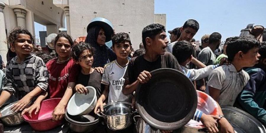 (أونروا): الناس يسقطون مغشياً عليهم في غزة من شدة الجوع - بوابة فكرة وي