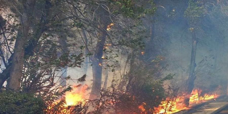 حريق كبير وتصاعد أعمدة الدخان في المنطقة المحيطة بقصر الشعب الرئاسي بدمشق - بوابة فكرة وي