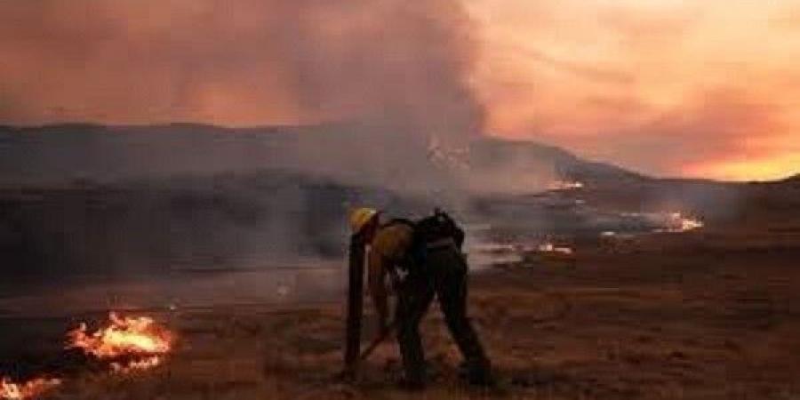 السلطات الأميركية: أكثر من 300 عنصر إطفاء يُكافحون أكبر حريق غابات تشهده كاليفورنيا هذا العام - بوابة فكرة وي