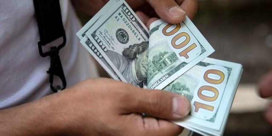 عضو بالمركزي الأوروبي: اليورو ليس مستعداً بعد ليحل محل الدولار - بوابة فكرة وي