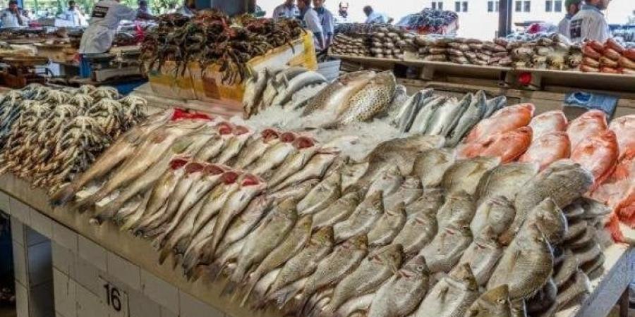 أسعار الأسماك والجمبري اليوم السبت 5 يوليو 2025.. البوري بـ 120 جنيهًا - بوابة فكرة وي