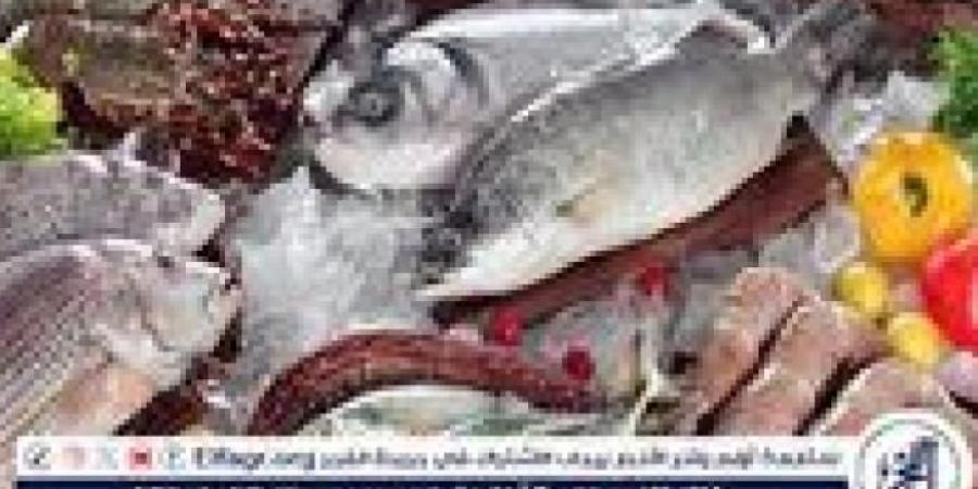 أسعار السمك اليوم الأحد 6-7-2025 في محافظة قنا - بوابة فكرة وي