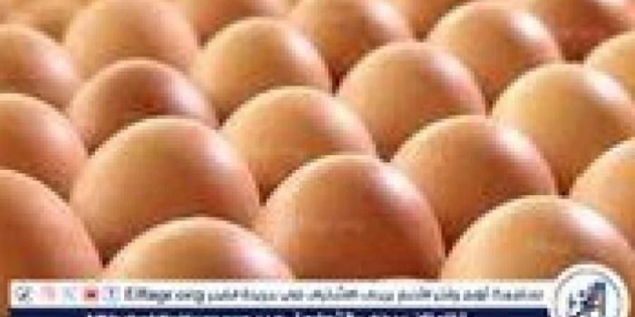 أسعار طبق البيض اليوم الأحد 6-7-2025 في قنا - بوابة فكرة وي