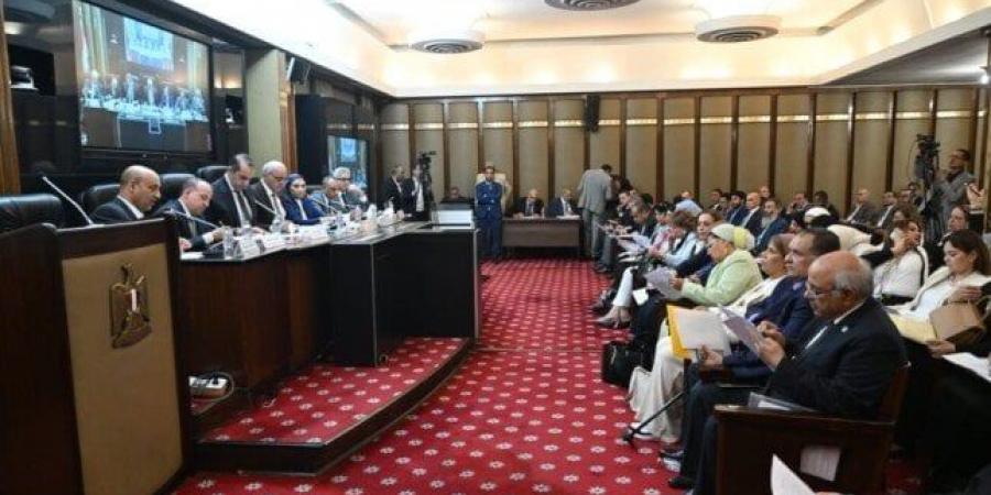 «شباب النواب»: هدفنا صياغة قانون عصري يعكس مكانة مصر ويلتزم بالمواثيق الدولية - بوابة فكرة وي