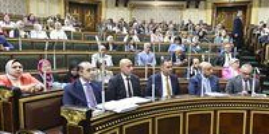 وزير التعليم من البرلمان:«ماينفعش الطالب يتخرج مش عارف مين هو جمال عبد الناصر والسادات» - بوابة فكرة وي