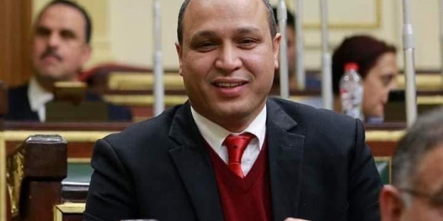 النائب محمد طلبة: "الجبهة الوطنية" تستهدف مقعد شيوخ الإسماعيلية - بوابة فكرة وي
