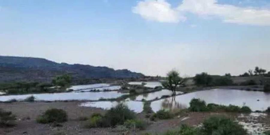 أمطار وأجواء غائمة ورياح في عدد من المناطق خلال الساعات القادمة - بوابة فكرة وي