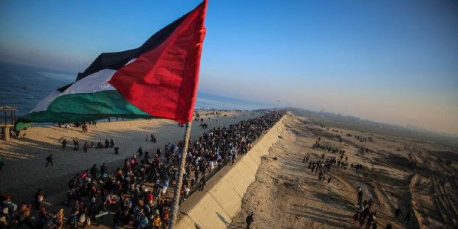 القوى الوطنية والإسلامية: وقف حرب الإبادة في غزة أولوية وطنية - بوابة فكرة وي
