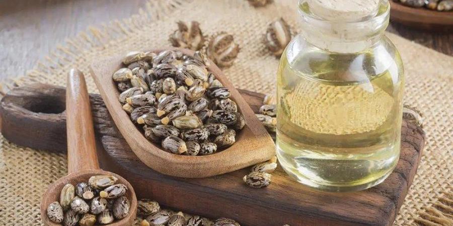 زيت الخروع.. تعرف إلى فوائد وطرق استعمال «بوتوكس الطبيعة» - بوابة فكرة وي