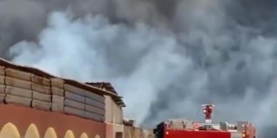 تداول فيديو لحريق مصنع إسفنج دمياط .. استمرار محاولات السيطرة على النيران.. فيديو - بوابة فكرة وي